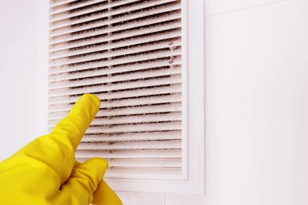 Mold Removal in Ducts